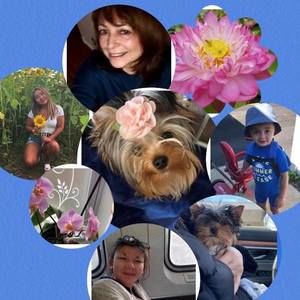 Meet your Posher, Cher